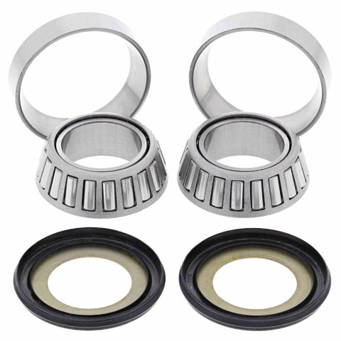 ALL BALLS ŁOŻYSKA GŁÓWKI RAMY Z USZCZELNIACZAMI HONDA XL600/650/700V TRANSALP '87-'11, XRV750 AFRICA TWIN '90-'03 CR 80/85R '87- ALL BALLS ŁOŻYSKA GŁÓWKI RAMY Z USZCZELNIACZAMI HONDA XL600/650/700V TRANSALP '87-'11, XRV750 AFRICA TWIN '90-'03 CR 80/85R '87-