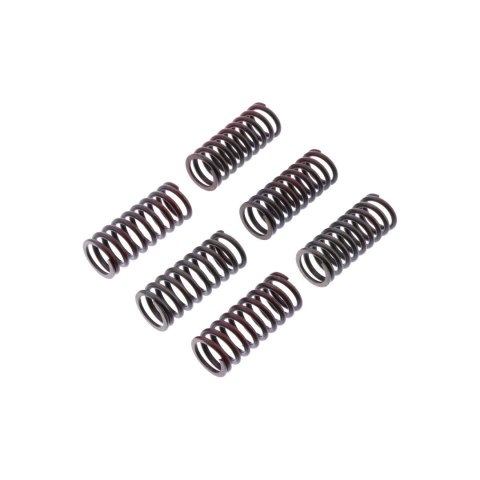 TRW ZF SPRĘŻYNY SPRZĘGŁOWE DUCATI MONSTER 620 / 696 / 800 05-14, SCRAMBLER 800 15-, TRW ZF SPRĘŻYNY SPRZĘGŁOWE DUCATI MONSTER 620 / 696 / 800 05-14, SCRAMBLER 800 15-,