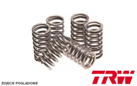 TRW ZF SPRĘŻYNY SPRZĘGŁOWE YAMAHA WRF 450 16-17, YZF 450 08-09, MT-07 700 14-17, TRACER 700 16-20, XSR 700 16-20, YFM 700 RAPTOR TRW ZF SPRĘŻYNY SPRZĘGŁOWE YAMAHA WRF 450 16-17, YZF 450 08-09, MT-07 700 14-17, TRACER 700 16-20, XSR 700 16-20, YFM 700 RAPTOR