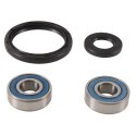 ALL BALLS ŁOŻYSKA KOŁA PRZEDNIEGO Z USZCZELNIACZAMI KAWASAKI KLX250/300R '94-'07, KLX650C/R '93-'96, KDX250 '92-'94