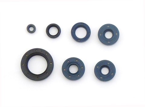 ATHENA KOMPLET (ZESTAW) USZCZELNIACZY SILNIKOWYCH BMW F650 GS '99-'08, F650/ST '93-'98, F650 CS, G650 GS/X, BOMBARDIER DS 650 '0 ATHENA KOMPLET (ZESTAW) USZCZELNIACZY SILNIKOWYCH BMW F650 GS '99-'08, F650/ST '93-'98, F650 CS, G650 GS/X, BOMBARDIER DS 650 '0