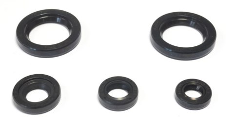 ATHENA KOMPLET (ZESTAW) USZCZELNIACZY SILNIKOWYCH KTM DUKE 125 '11-16, DUKE 200 '12-16, RC 200 '15-16 ATHENA KOMPLET (ZESTAW) USZCZELNIACZY SILNIKOWYCH KTM DUKE 125 '11-16, DUKE 200 '12-16, RC 200 '15-16