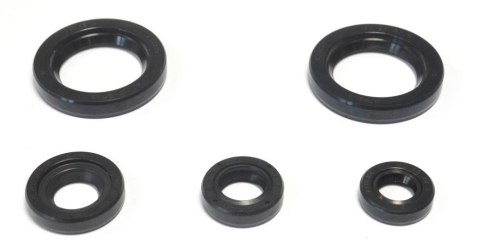 ATHENA KOMPLET (ZESTAW) USZCZELNIACZY SILNIKOWYCH KTM DUKE 125 '11-16, DUKE 200 '12-16, RC 200 '15-16 ATHENA KOMPLET (ZESTAW) USZCZELNIACZY SILNIKOWYCH KTM DUKE 125 '11-16, DUKE 200 '12-16, RC 200 '15-16