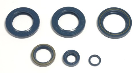 ATHENA KOMPLET (ZESTAW) USZCZELNIACZY SILNIKOWYCH KTM LC4 EGS400/620`96-98, LC4-E400`98-02, LC4 620`96-01 ATHENA KOMPLET (ZESTAW) USZCZELNIACZY SILNIKOWYCH KTM LC4 EGS400/620`96-98, LC4-E400`98-02, LC4 620`96-01