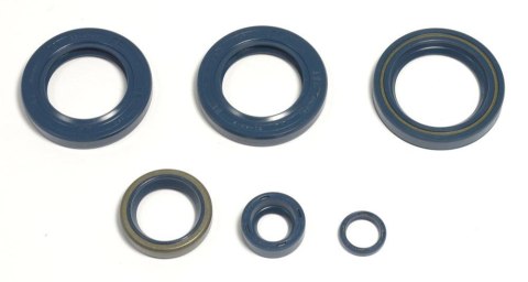 ATHENA KOMPLET (ZESTAW) USZCZELNIACZY SILNIKOWYCH KTM LC4 EGS400/620`96-98, LC4-E400`98-02, LC4 620`96-01 ATHENA KOMPLET (ZESTAW) USZCZELNIACZY SILNIKOWYCH KTM LC4 EGS400/620`96-98, LC4-E400`98-02, LC4 620`96-01