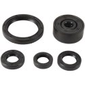 WINDEROSA (VERTEX) KOMPLET (ZESTAW) USZCZELNIACZY SILNIKOWYCH YAMAHA WR 250R DUAL SPORT '18-'22
