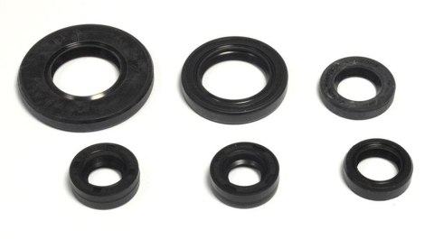 ATHENA KOMPLET (ZESTAW) USZCZELNIACZY SILNIKOWYCH YAMAHA TTR 125 '11-'15, XT 125R/X '05'-'12, YBR 125 '05-'14 ATHENA KOMPLET (ZESTAW) USZCZELNIACZY SILNIKOWYCH YAMAHA TTR 125 '11-'15, XT 125R/X '05'-'12, YBR 125 '05-'14