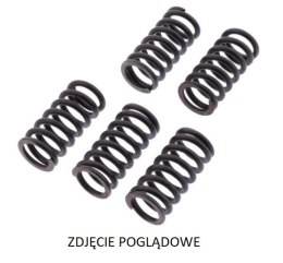 TRW ZF SPRĘŻYNY SPRZĘGŁOWE DUCATI 749S/R '03-'07, 916 ST4 '99-'03, 944 ST2 '97-'03, 996 ST4 '01-'03, 999 BIPOSTO '02-'06, MONSTE