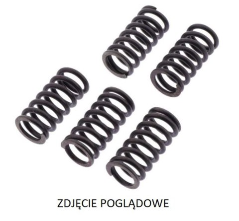 TRW ZF SPRĘŻYNY SPRZĘGŁOWE DUCATI 749S/R '03-'07, 916 ST4 '99-'03, 944 ST2 '97-'03, 996 ST4 '01-'03, 999 BIPOSTO '02-'06, MONSTE TRW ZF SPRĘŻYNY SPRZĘGŁOWE DUCATI 749S/R '03-'07, 916 ST4 '99-'03, 944 ST2 '97-'03, 996 ST4 '01-'03, 999 BIPOSTO '02-'06, MONSTE