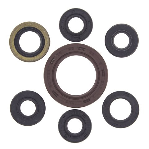 WINDEROSA (VERTEX) KOMPLET (ZESTAW) USZCZELNIACZY SILNIKOWYCH SUZUKI LTZ 400 '03-'14, ARCTIC CAT 400 DVX 04-08 WINDEROSA (VERTEX) KOMPLET (ZESTAW) USZCZELNIACZY SILNIKOWYCH SUZUKI LTZ 400 '03-'14, ARCTIC CAT 400 DVX 04-08