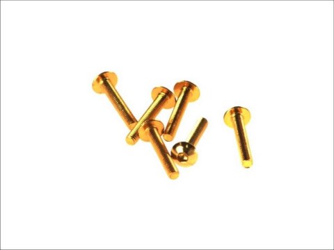 V PARTS (VICMA) ZESTAW ŚRUB OWIEWKI M5X30 (6SZT.) KOLOR ZŁOTY (IMBUSOWA PŁASKA)(TA530OR) V PARTS (VICMA) ZESTAW ŚRUB OWIEWKI M5X30 (6SZT.) KOLOR ZŁOTY (IMBUSOWA PŁASKA)(TA530OR)