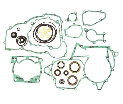 ATHENA KOMPLET USZCZELEK BETA 250/300RR '13-24 (2T) ( Z USZCZELNIACZAMI SILNIKOWYMI )(zastępuje P400060900011); J0000BT000866