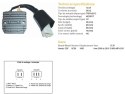 DZE REGULATOR NAPIĘCIA HONDA CBF1000 '06-'10 (SC58) (31600-MFA-D01) MOSFET (50A)