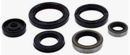 WINDEROSA (VERTEX) KOMPLET (ZESTAW) USZCZELNIACZY SILNIKOWYCH YAMAHA YZ250(YZ 250)' 01