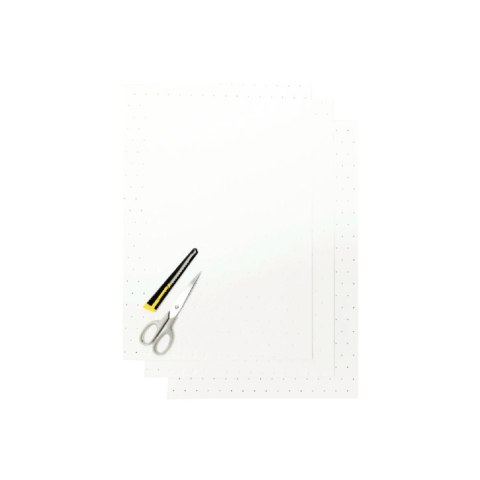 BLACKBIRD KOMPLET NAKLEJEK (OKLEIN) (FOLIA CRYSTALL 0,4 MM) (PERFOROWANA) 3 X ARKUSZ 47X33CM, KOLOR BIAŁY