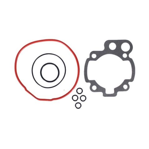 RMS USZCZELKI TOP-END MINARELLI AM6 D.49 73.5CC (EVOK)