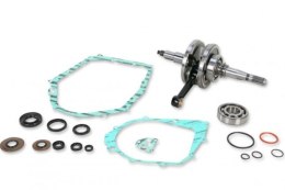 WISECO WAŁ KORBOWY YAMAHA YFM 350 RAPTOR/WARRIOR 87-12 (Z ŁOŻYSKAMI I USZCZELNIACZAMI NA WAŁ ORAZ KOMPLETEM USZCZELEK NA DÓŁ SIL
