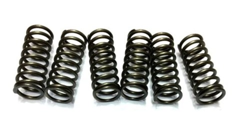 JR EBS SPRĘŻYNY SPRZĘGŁOWE HONDA CRF70/XR70, KAWASAKI KX 60 JR EBS SPRĘŻYNY SPRZĘGŁOWE HONDA CRF70/XR70, KAWASAKI KX 60
