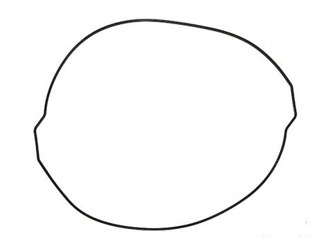 NAMURA USZCZELKA POKRYWY SPRZĘGŁA KTM SXF 250 13-15, SXF 350 11-15, EXCF 350 12-16, HUSQVARNA, HUSABERG (O-RING) (ZEWNĘTRZNA) (O NAMURA USZCZELKA POKRYWY SPRZĘGŁA KTM SXF 250 13-15, SXF 350 11-15, EXCF 350 12-16, HUSQVARNA, HUSABERG (O-RING) (ZEWNĘTRZNA) (O